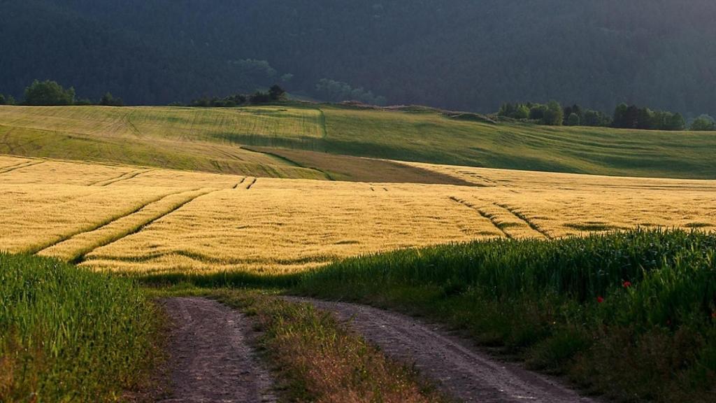 Penzion Mlynarov Dvor Dubrava Extérieur photo