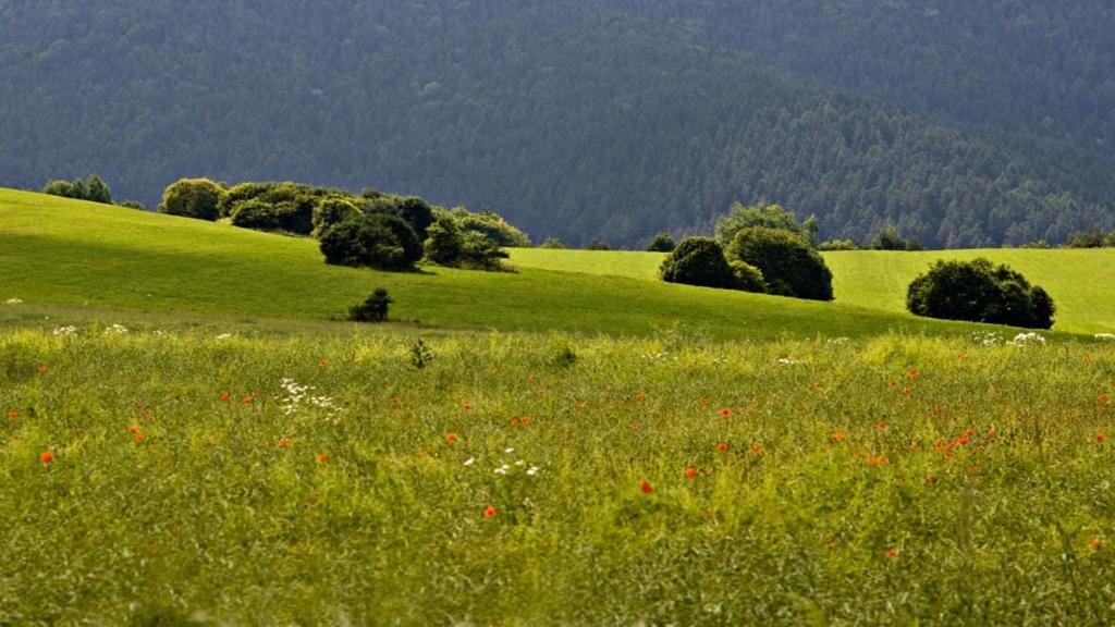 Penzion Mlynarov Dvor Dubrava Extérieur photo